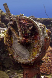 Needs a bit ofa  clean!! Casio exilim... Truuk lagoon again. by Andrew Macleod 